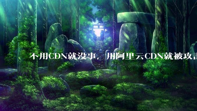 不用CDN就没事，用阿里云CDN就被攻击刷流量，阿里云表示证明不了就要用户买单，如何看到这种行为？