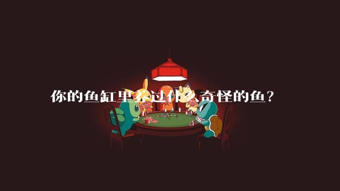 你的鱼缸里养过什么奇怪的鱼？