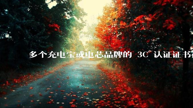 多个充电宝或电芯品牌的 3C 认证证书被暂停，涉及罗马仕、安克、绿联、倍思、安普瑞斯等，发生了什么？